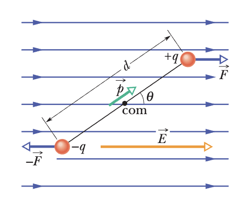 img/lec1/electricDipole.png
